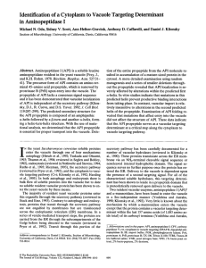 Identification of a Cytoplasm to Vacuole Targeting Determinant in