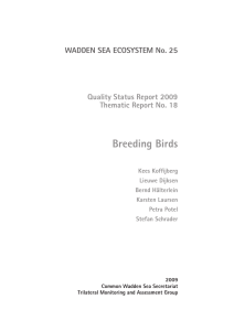 Breeding Birds - Common Wadden Sea Secretariat