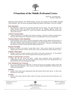 9 Functions of the Middle Prefrontal Cortex