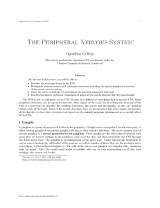 The Peripheral Nervous System