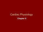 Cardiac Physiology