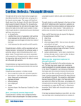 Cardiac Defects: Tricuspid Atresia