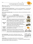A Trip Through Geologic Time Test Study Guide fossil