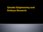 Genetic Engineering and Embryo Research