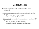 Cell Nutrients