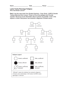 Lawler Pedigree Worksheet.doc