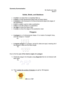 Solids, Shells, and Skeletons Polygons