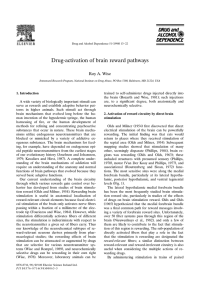 Drug-activation of brain reward pathways