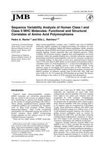 Sequence Variability Analysis of Human Class I and Class II MHC