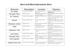 Heart and Blood Information Sheet