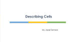 Describing Cells