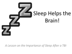 Sleep Helps the Brain!