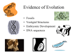 evolution_-_evidence_ch._15_part_0