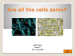 Presentation on Cells