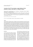 Activation of the WUS gene induces ectopic initiation of floral