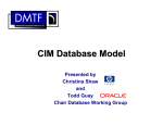 CIM Database Model