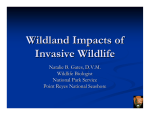 Wildland Impacts of Exotic Wildlife