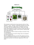 Types of micro-organisms