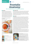Frontalis Anatomy - Anna Baker Aesthetics