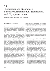 Dissection, Examination, Sterilization, and Cryopreservation