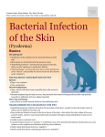 Bacterial Infection of the Skin