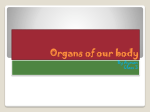Organs of our body