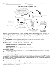 The Nitrogen Cycle