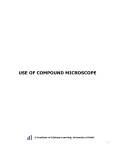 use of compound microscope