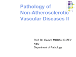 2-Pathology of non-atherosclerotic vascular diseases_1