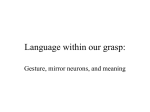 Language within our grasp: