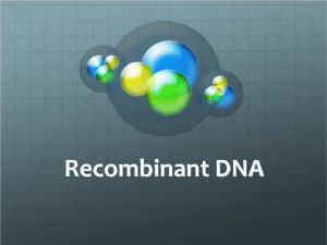 Recombinant DNA