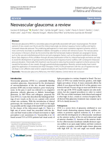 Neovascular glaucoma: a review - International Journal of Retina