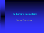 Marine Ecosystems 2012