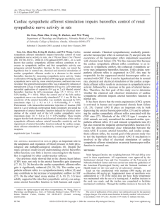 Cardiac sympathetic afferent stimulation impairs - AJP