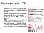 Sleep-wake cycles: EEG