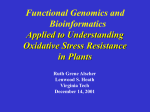 Functional Genomics and Bioinformatics Applied to Understanding