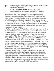 Extensive post-transcriptional regulation of miRNAs within