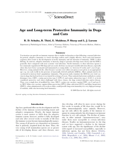 Age and Long-term Protective Immunity in Dogs and
