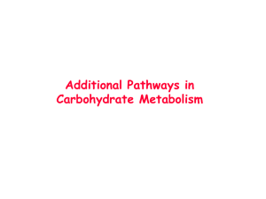 Karbohidrat Metabolizması