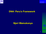 DNA Peru`s Framework