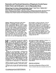 Expression and Functional Interaction of Hepatocyte Growth Factor