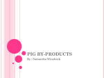 Industrial Pig By-Products