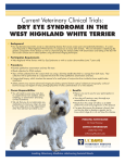 Current Veterinary Clinical Trials: DRY EYE SYNDROME IN THE