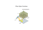 Fiber Optic Switches