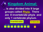 Living things are divided into 5 Kingdoms: