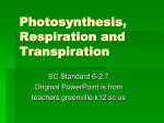 Photosynthesis, Respiration and Transpiration