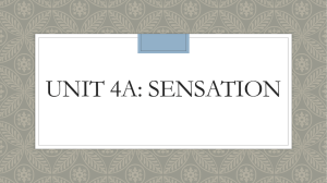 Unit 4A: Sensation