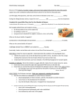 History CH 8 Study Guide.FormB