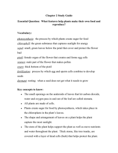 Science Chapter 2 Study Guide