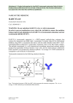 Product Information for trastuzumab emtansine